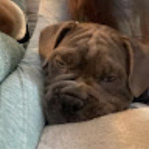 Meet your Posher, Emma